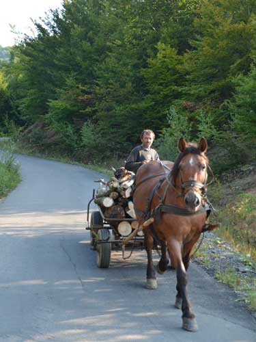 Foto Coborand spre Razoare (c) Petru Goja